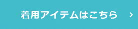 着用アイテムはこちら