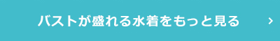 バストが盛れる水着をもっと見る